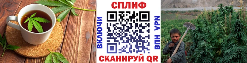Cannafood конопля  Купить где  Звенигово 