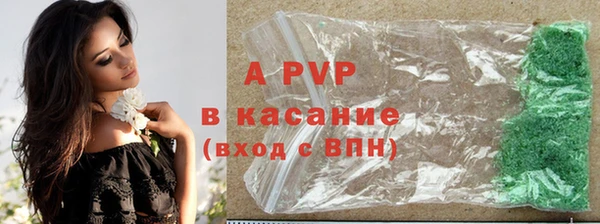 стафф Надым