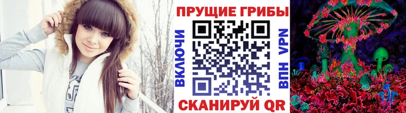 Псилоцибиновые грибы MAGIC MUSHROOMS  Купить где  Звенигово 